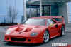 Hamman Ferrari F40 (1).jpg (71152 bytes)